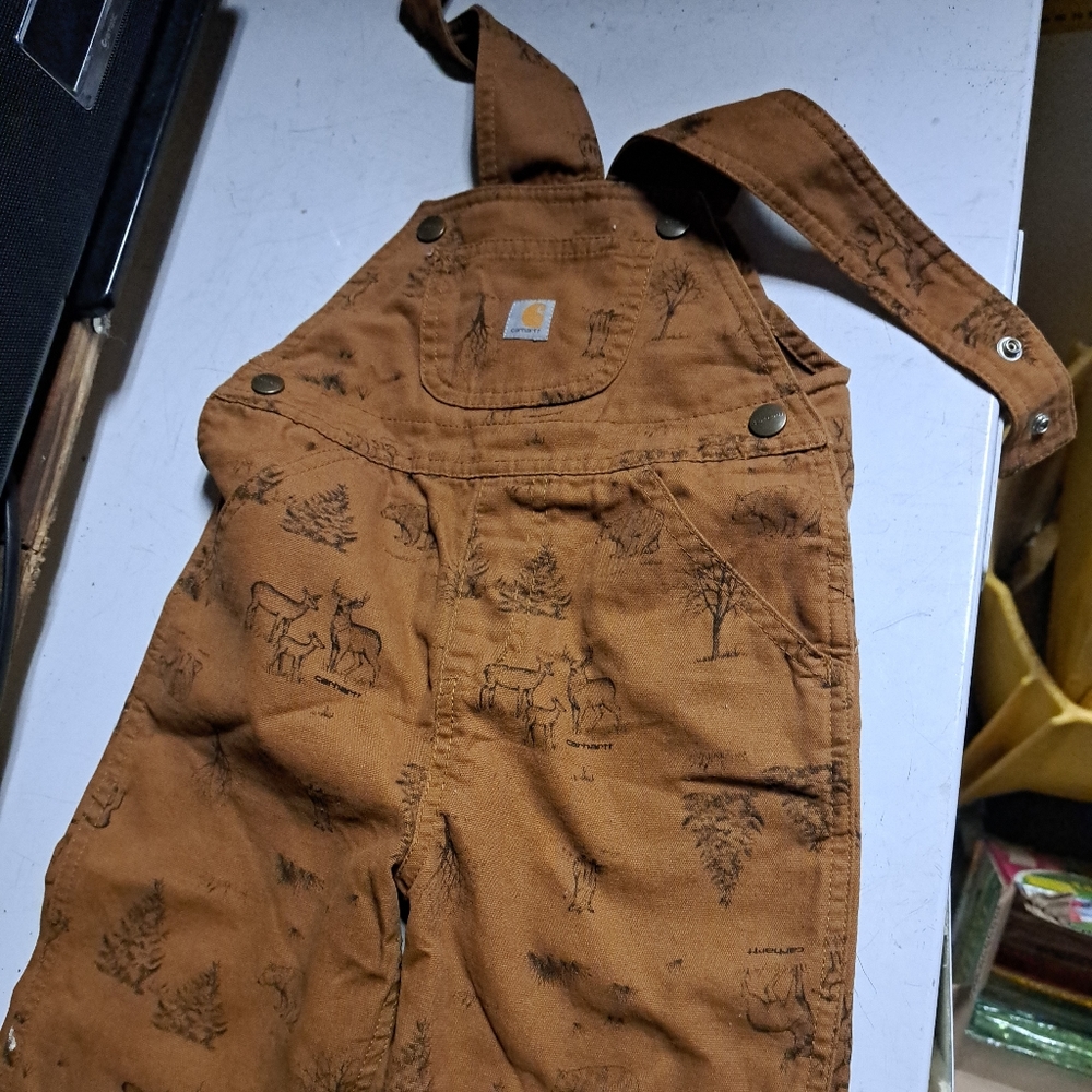 Kids carharrt overalls